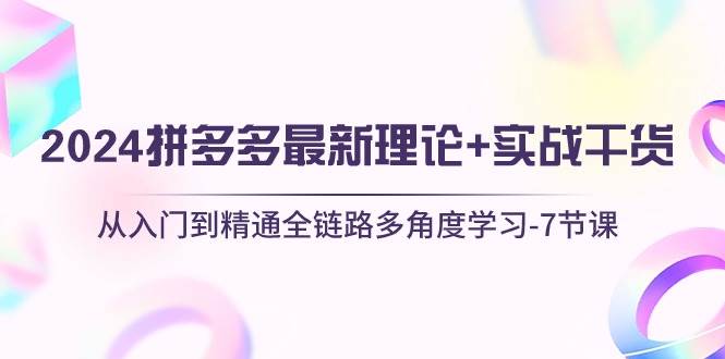 （10816期）2024拼多多 最新理论+实战干货，从入门到精通全链路多角度学习-7节课-旺仔资源库