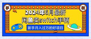 （10831期）2024年6月最新闲鱼卖switch游戏手柄，新手月入过万的第一个好项目-旺仔资源库