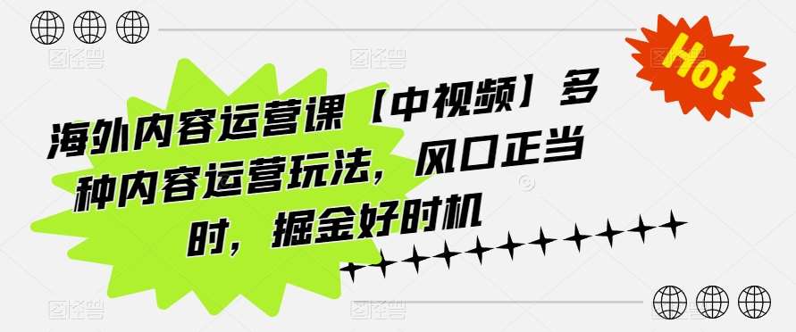 海外内容运营课【中视频】多种内容运营玩法，风口正当时，掘金好时机-旺仔资源库