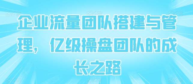 企业流量团队搭建与管理，亿级操盘团队的成长之路-旺仔资源库