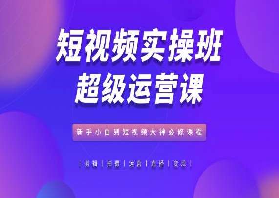 短视频实操班超级运营课，新手小白到短视频大神必修课程-旺仔资源库