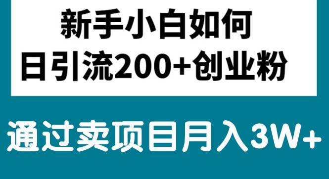 （10843期）新手小白日引流200+创业粉,通过卖项目月入3W+-旺仔资源库