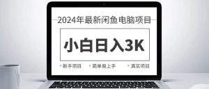 （10845期）2024最新闲鱼卖电脑项目，新手小白日入3K+，最真实的项目教学-旺仔资源库