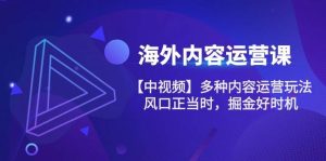 海外内容运营课【中视频】多种内容运营玩法 风口正当时 掘金好时机（101节）-旺仔资源库