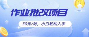 作业批改项目30元/时，简单小白轻松入手，非常适合兼职-旺仔资源库