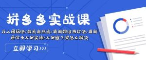 拼多多实战课：万人团玩法/截流自然流/最新强付费打法/最新原价卡大促..-旺仔资源库