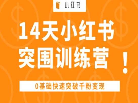 14天小红书突围训练营 ，0基础快速突破千粉变现-旺仔资源库