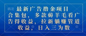 （10906期）最新广告撸金项目合集包，多款薅羊毛看广告收益 拉新管道收益，日入三为数-旺仔资源库