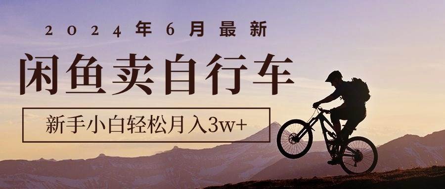 （10915期）2024年6月最新闲鱼卖自行车，新手小白轻松月入3w+项目-旺仔资源库