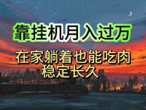（10921期）挂机项目日入1000+，躺着也能吃肉，适合宝爸宝妈学生党工作室，电脑手…-旺仔资源库