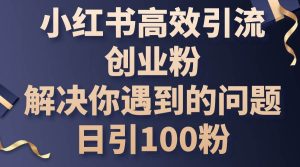 （10929期）小红书高效引流创业粉，解决你遇到的问题，日引100粉-旺仔资源库