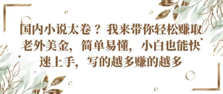 国内小说太卷 ?带你轻松赚取老外美金，简单易懂，小白也能快速上手，写的越多赚的越多【揭秘】-旺仔资源库
