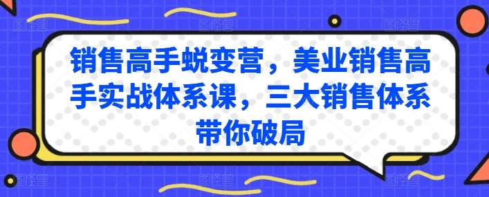 销售高手蜕变营，美业销售高手实战体系课，三大销售体系带你破局-旺仔资源库