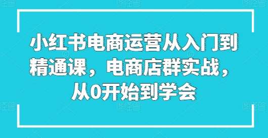 小红书电商运营从入门到精通课，电商店群实战，从0开始到学会-旺仔资源库