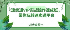速卖通VIP实战操作速成班，带你玩转速卖通平台-旺仔资源库