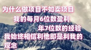 做项目不如卖项目，每月6位数盈利，年7位数经验-旺仔资源库