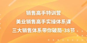 销售高手特训营，美业销售高手实操体系课，三大销售体系带你破局（38节）-旺仔资源库