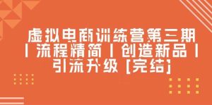 （10960期）虚拟电商训练营第三期丨流程精简丨创造新品丨引流升级 [完结]-旺仔资源库