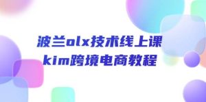 （10967期）波兰olx 技术线上课，kim跨境电商教程-旺仔资源库