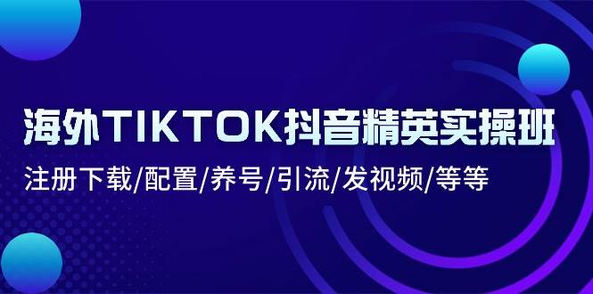 （10998期）海外TIKTOK抖音精英实操班：注册下载/配置/养号/引流/发视频/等等-旺仔资源库