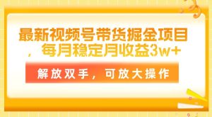 （11010期）最新视频号带货掘金项目，每月稳定月收益3w+，解放双手，可放大操作-旺仔资源库