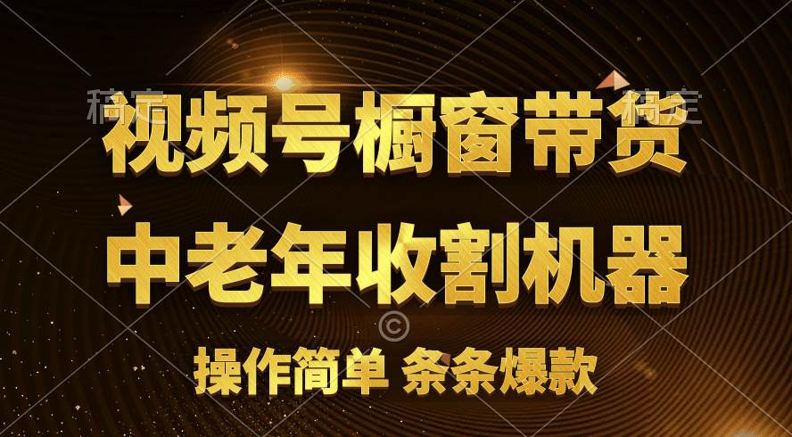 （11009期）[你的孩子成功取得高位]视频号最火爆赛道，橱窗带货，流量分成计划，条…-旺仔资源库