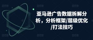 亚马逊广告数据拆解分析，分析框架/层级优化/打法技巧-旺仔资源库