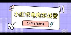 小红书无货源（最新玩法）日入1w+ 从0-1账号如何搭建-旺仔资源库
