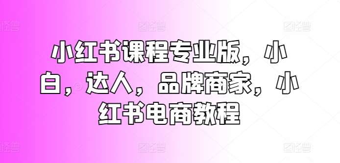 小红书课程专业版，小白，达人，品牌商家，小红书电商教程-旺仔资源库
