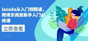 lazada从入门到精通，跨境东南亚新手入门必修课-旺仔资源库