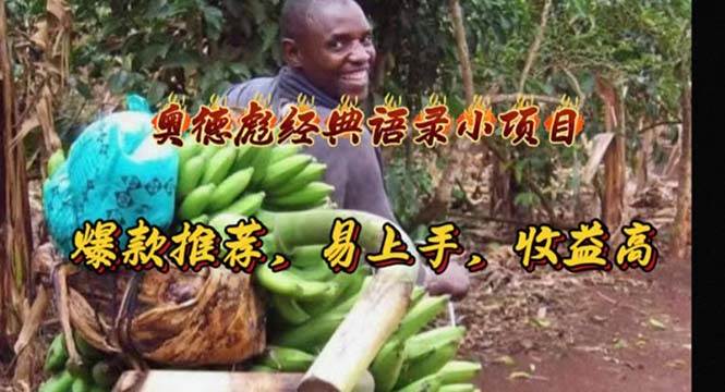 （11030期）奥德彪经典语录小项目，爆款推荐，易上手，收益高-旺仔资源库