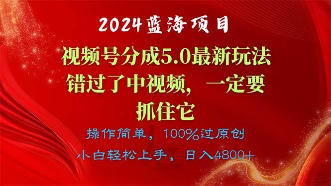 （11032期）2024蓝海项目，视频号分成计划5.0最新玩法，错过了中视频，一定要抓住…-旺仔资源库