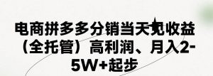 最新拼多多模式日入4K+两天销量过百单，无学费、 老运营代操作、小白福利，了解不吃亏-旺仔资源库