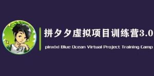 黄岛主·拼夕夕虚拟变现3.0，蓝海平台的虚拟项目，单天50-500+纯利润-旺仔资源库
