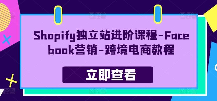 Shopify独立站进阶课程-Facebook营销-跨境电商教程-旺仔资源库