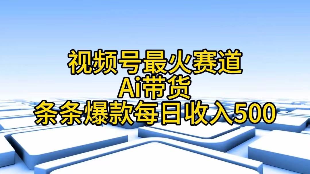 （11038期）视频号最火赛道——Ai带货条条爆款每日收入500-旺仔资源库