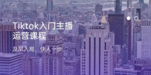 （11045期）Tiktok入门主播运营课程，及早入局，快人一步（11节）-旺仔资源库