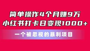 （11048期）简单操作4个月赚9万！小红书打卡日变现1000+！一个被忽视的暴力项目-旺仔资源库