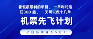 2024暑假最赚钱的项目，市场很大，一单利润300+，每天可批量操作-旺仔资源库