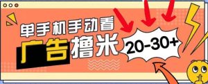 （11051期）新平台看广告单机每天20-30＋，无任何门槛，安卓手机即可，小白也能上手-旺仔资源库