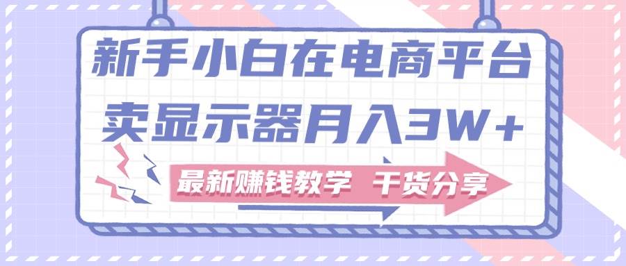 （11053期）新手小白如何做到在电商平台卖显示器月入3W+，最新赚钱教学干货分享-旺仔资源库