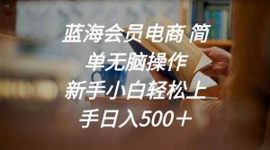 （11068期）蓝海会员电商 简单无脑操作 新手小白轻松上手日入500＋-旺仔资源库