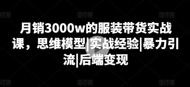 月销3000w的服装带货实战课，思维模型|实战经验|暴力引流|后端变现-旺仔资源库