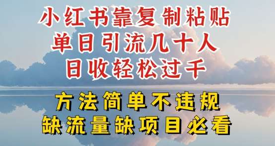 小红书靠复制粘贴单日引流几十人目收轻松过千，方法简单不违规【揭秘】-旺仔资源库