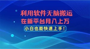 （11078期）利用软件无脑搬运，在新平台月入上万，小白也能快速上手-旺仔资源库