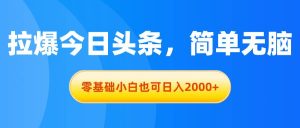 （11077期）拉爆今日头条，简单无脑，零基础小白也可日入2000+-旺仔资源库