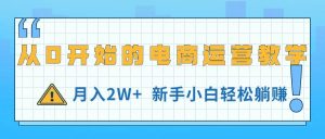 （11081期）从0开始的电商运营教学，月入2W+，新手小白轻松躺赚-旺仔资源库