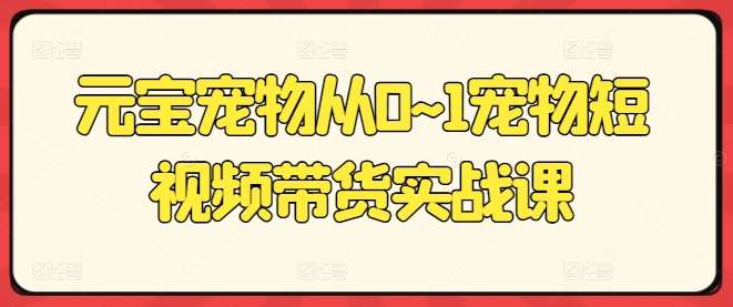 元宝宠物从0~1宠物短视频带货实战课-旺仔资源库