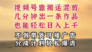 （11087期）深层揭秘视频号项目，是如何靠搬运混剪做到日入过千上万的，带你轻松爆…-旺仔资源库