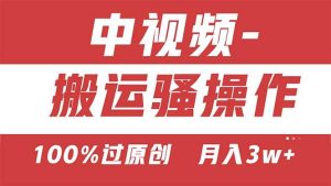 （11093期）【中视频新思路】双重去重100%过原创，无脑搬运一键多渠道发布，一人可…-旺仔资源库